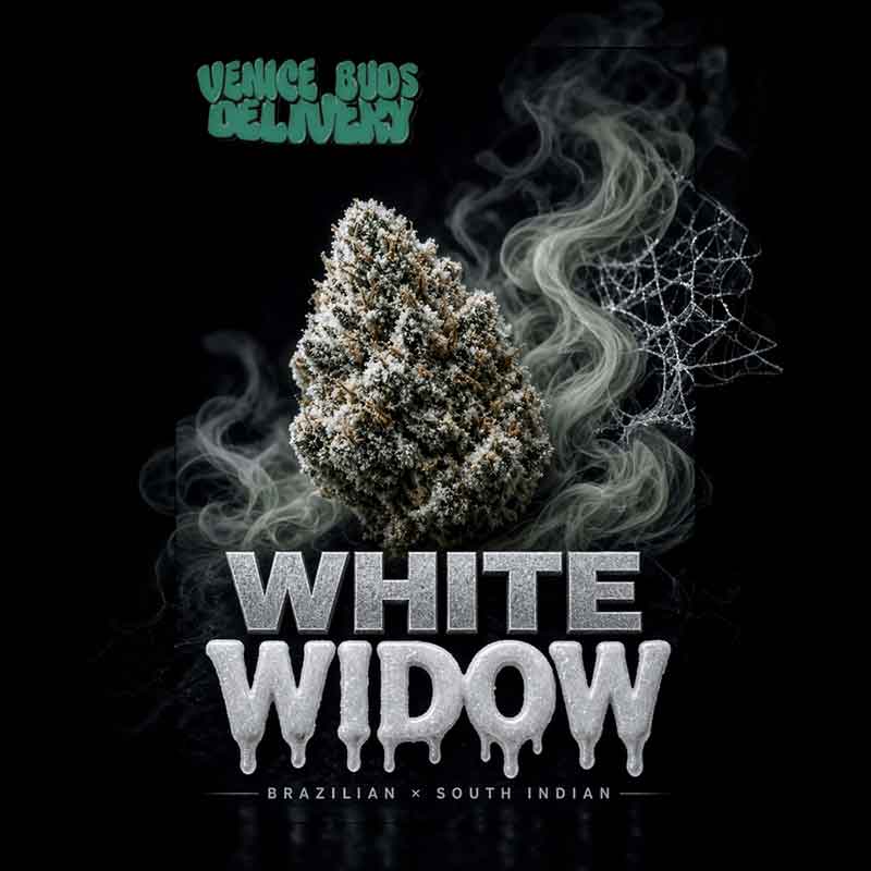 White Widow (28% THC)