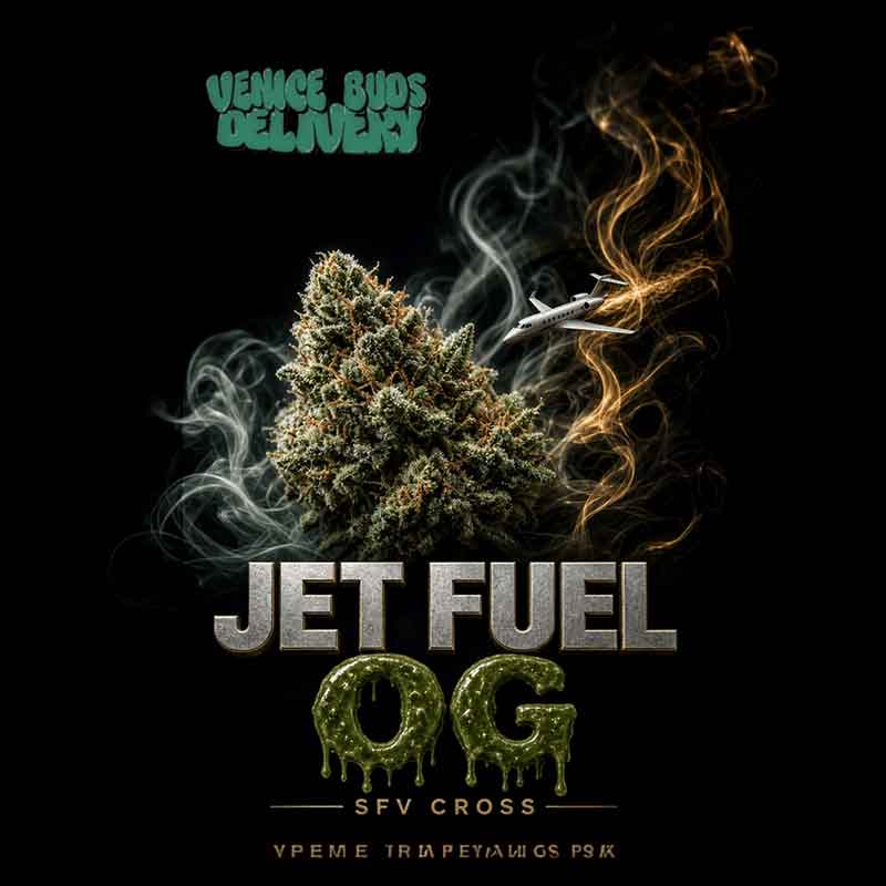 Jet Fuel OG (30.4% THC)