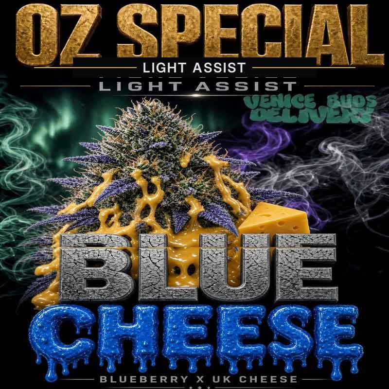 Blue Cheese (21.7% THC)