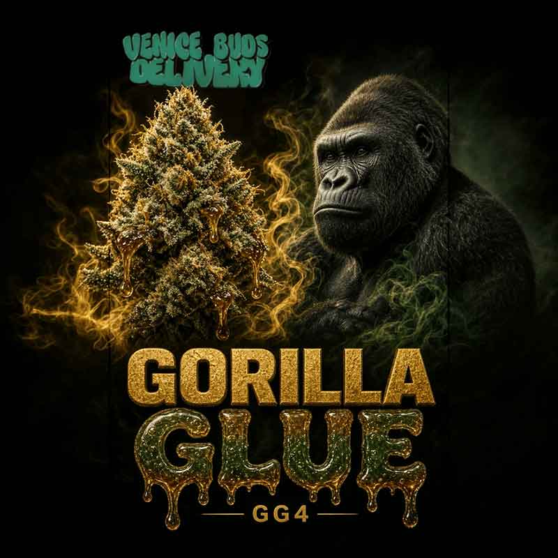 Super Gorilla Glue (31.9%THC)