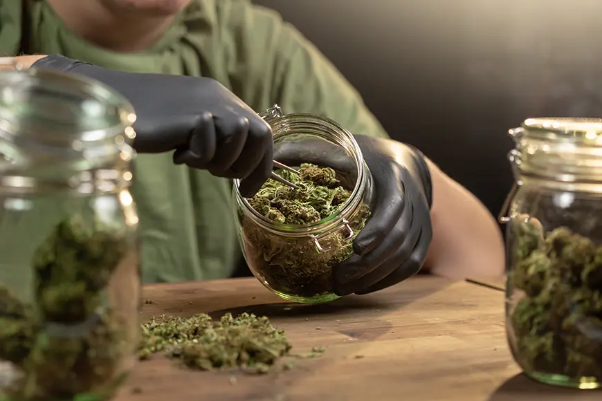 Marijuana delivery Venice Beach