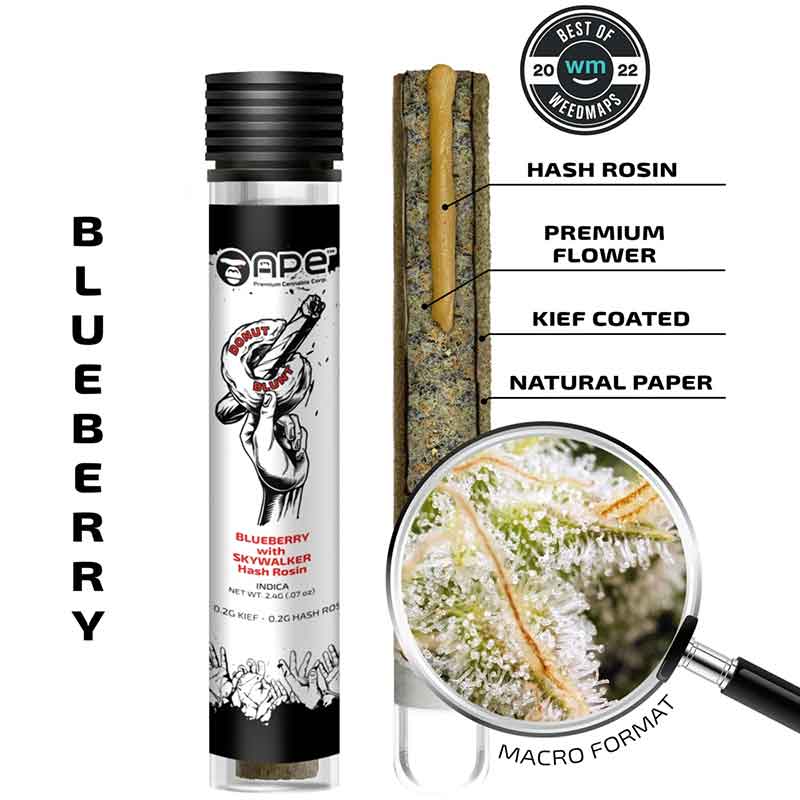 APE 2G HashHolr Pre-Roll