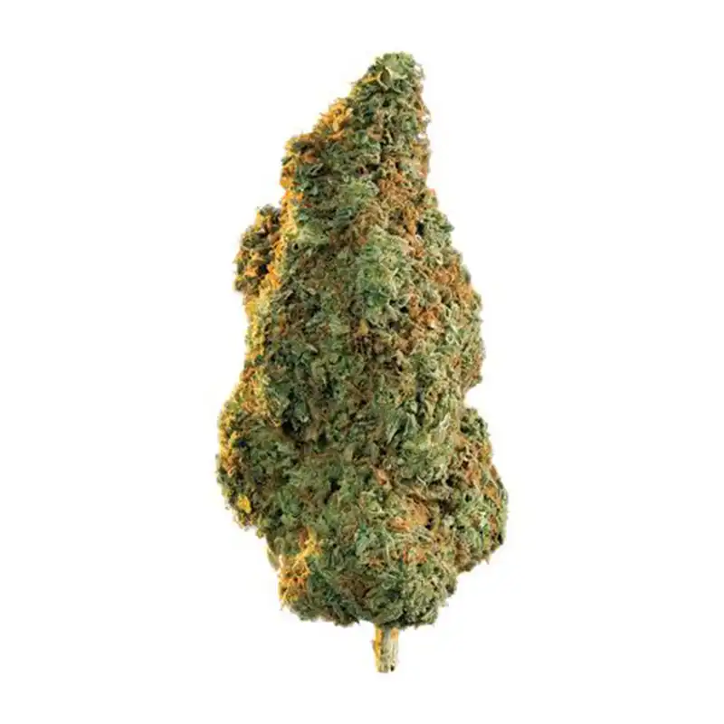 Northern Lights(24.75 Thc)