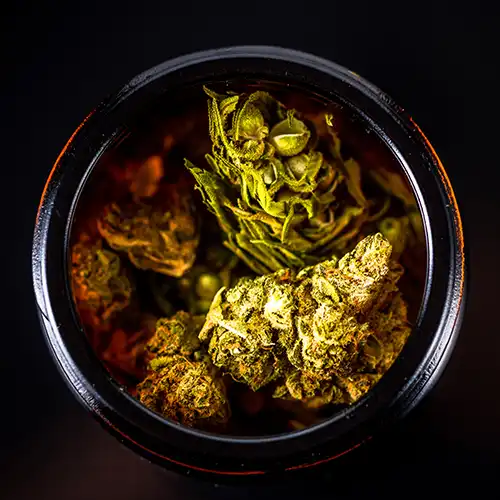 OZ SPECIALS