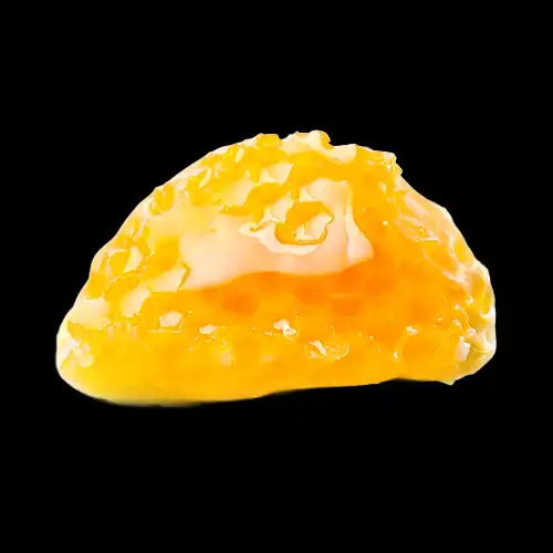 CONCENTRATE