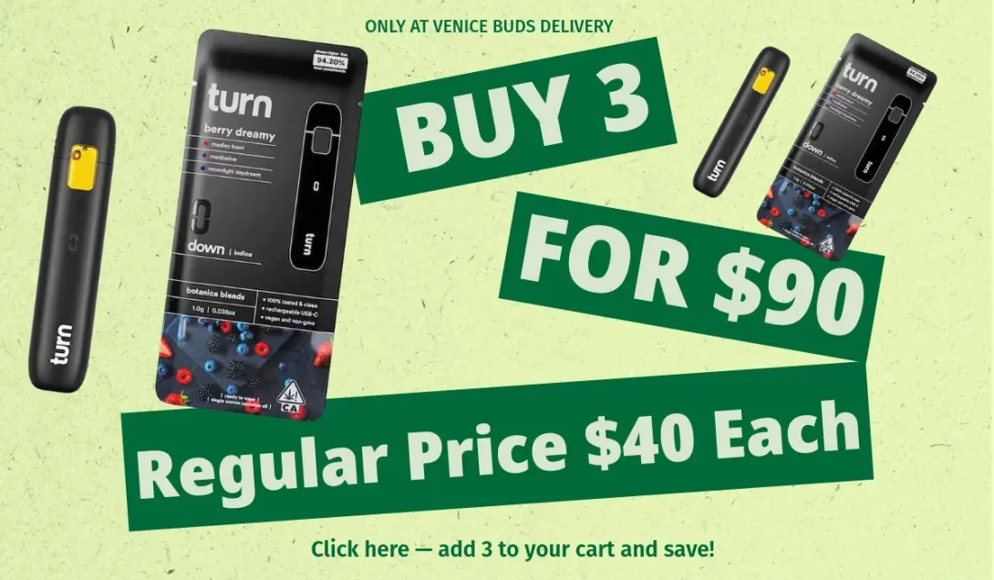 Turn 2G Disposable Pen